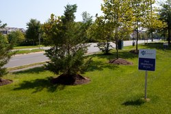  - Candlewood Suites Herndon