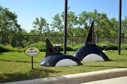  - Staybridge Suites West San Antonio