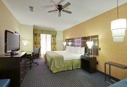  - Holiday Inn East Channelview - I-10, Exit 784