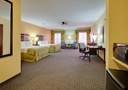  - Holiday Inn East Channelview - I-10, Exit 784
