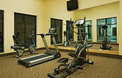  - Holiday Inn Express & Suites Borger