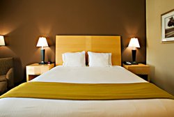  - Holiday Inn Express & Suites Borger