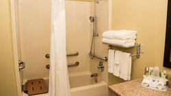  - Holiday Inn Express & Suites Saginaw - I-675, Exit 6