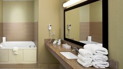  - Holiday Inn Express & Suites Saginaw - I-675, Exit 6