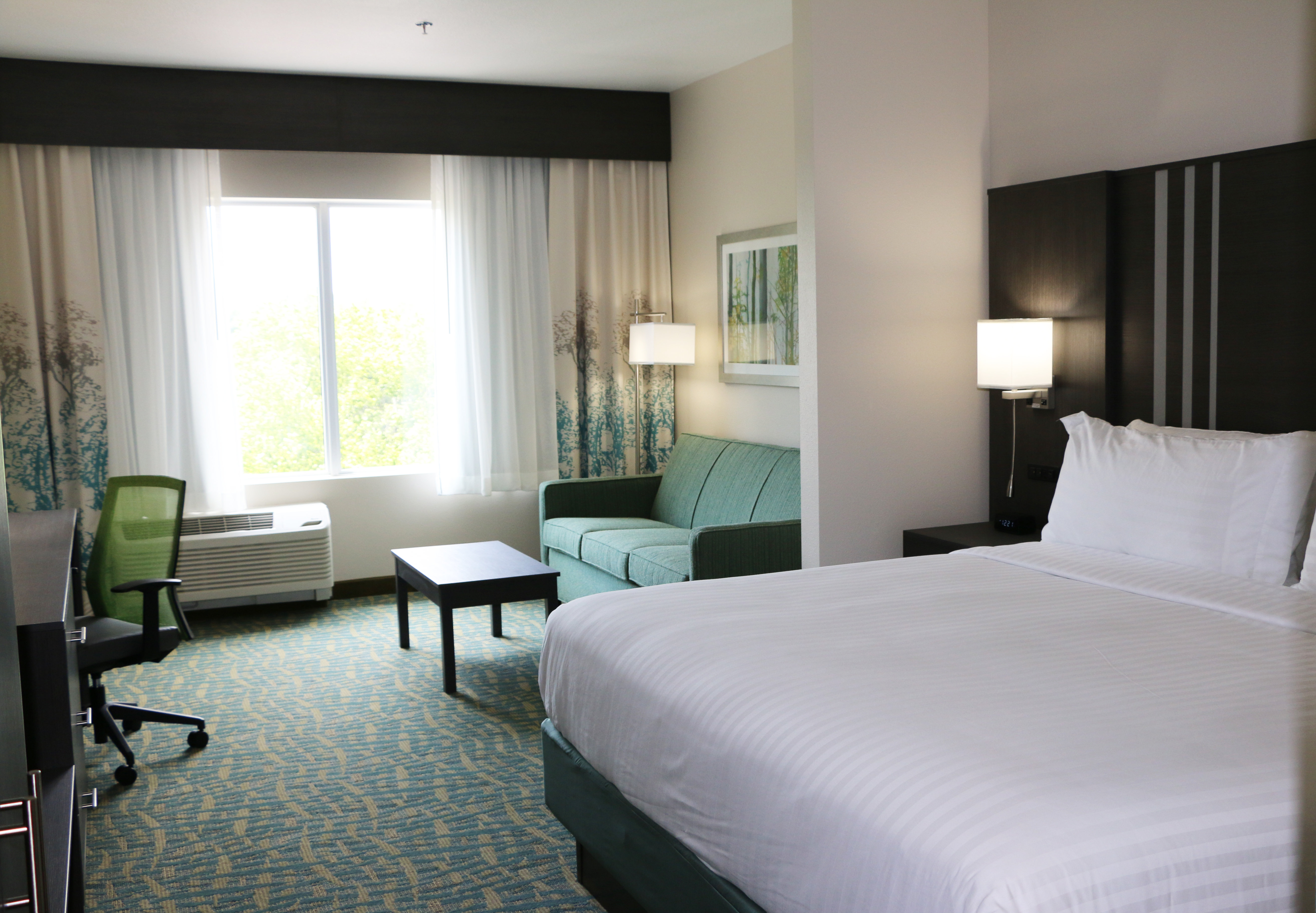 HOLIDAY INN EXP STES SE FLAT ROCK B-guestroom-King Bed Guest Room.jpg
