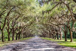 - Holiday Inn Historic District Savannah - I-16, Exit 167