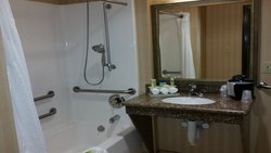  - Holiday Inn Express & Suites New Buffalo