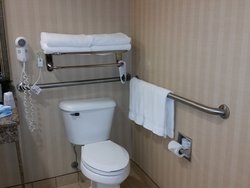  - Holiday Inn Express & Suites New Buffalo