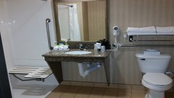  - Holiday Inn Express & Suites New Buffalo