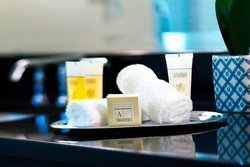  - Ellis Hotel on Peachtree Atlanta - I-75 & I-85, Exit 249B & 249C