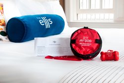  - Ellis Hotel on Peachtree Atlanta - I-75 & I-85, Exit 249B & 249C