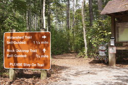  - Candlewood Suites McDonough - I-75, Exit 218