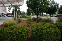  - Holiday Inn Downtown Portsmouth