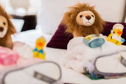  - Ritz-Carlton Hotel Montreal