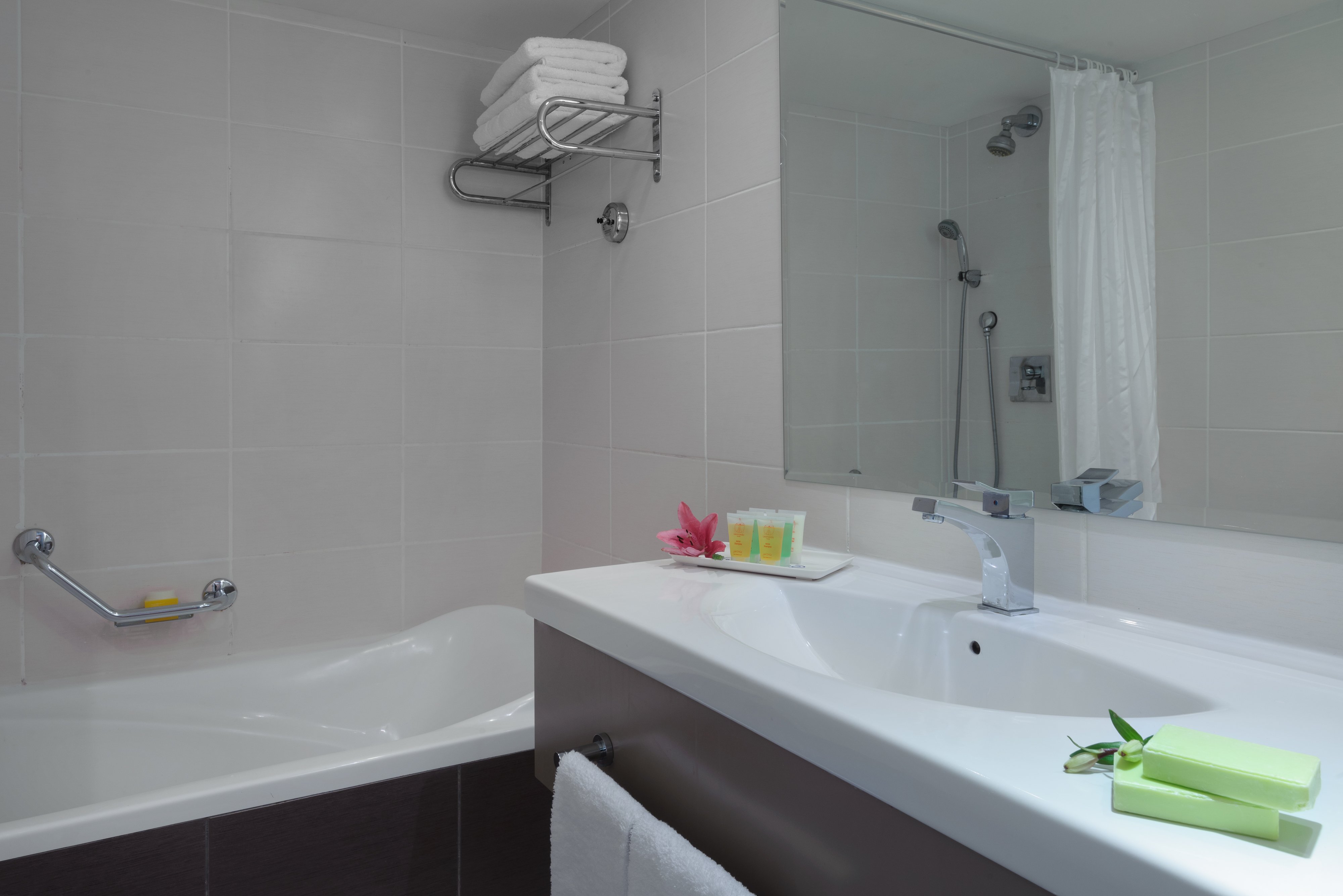 Leonardo Privilege Eilat-guestroom-Leonardo Privilege Eilat Bath.jpg