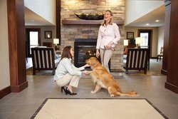  - Staybridge Suites Commerce Drive Northwest Rochester