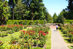  - Holiday Inn Hillsboro