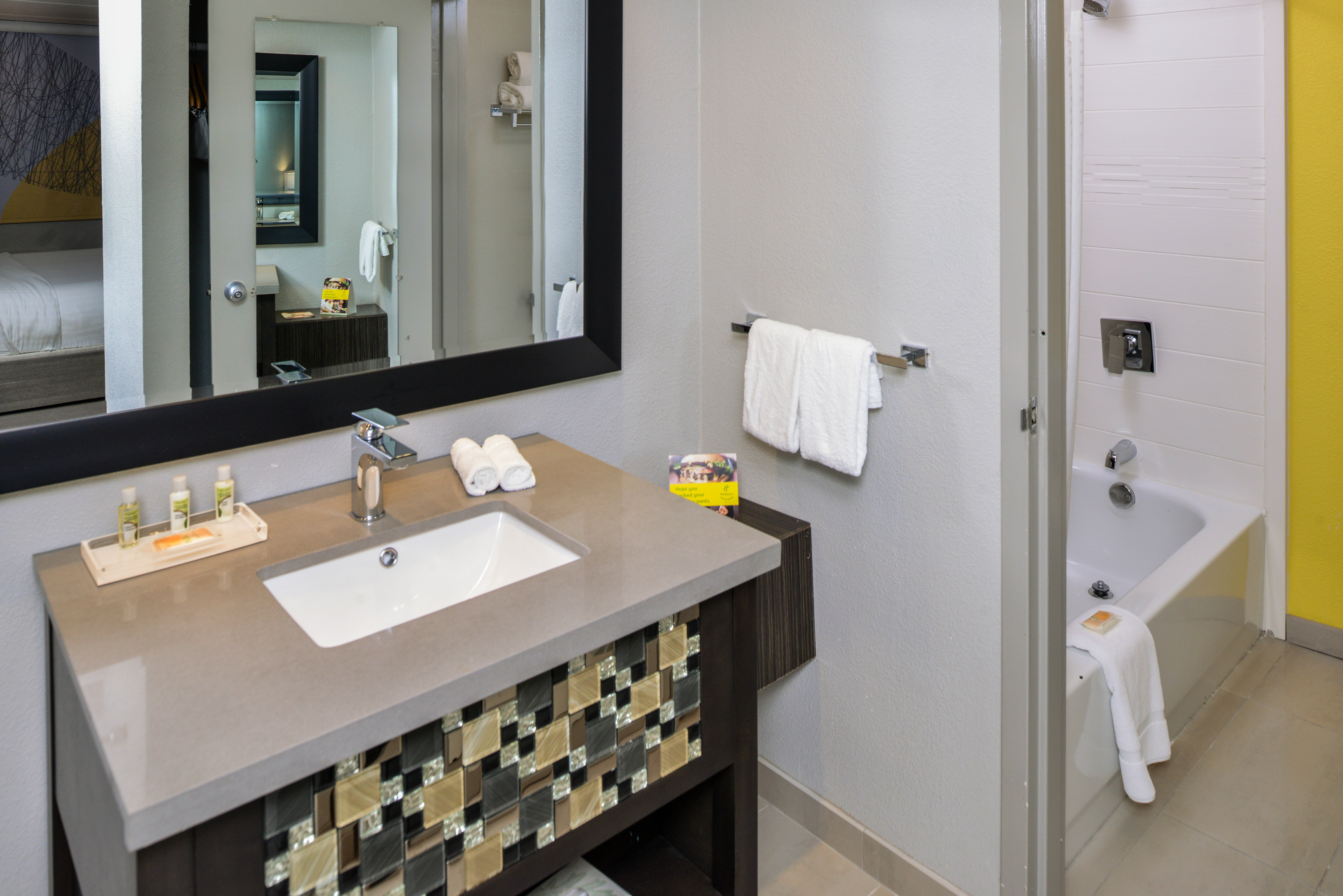 HOLIDAY INN RICHARDSON DALLAS BY IH-guestroom-Guest Bathroom.jpg
