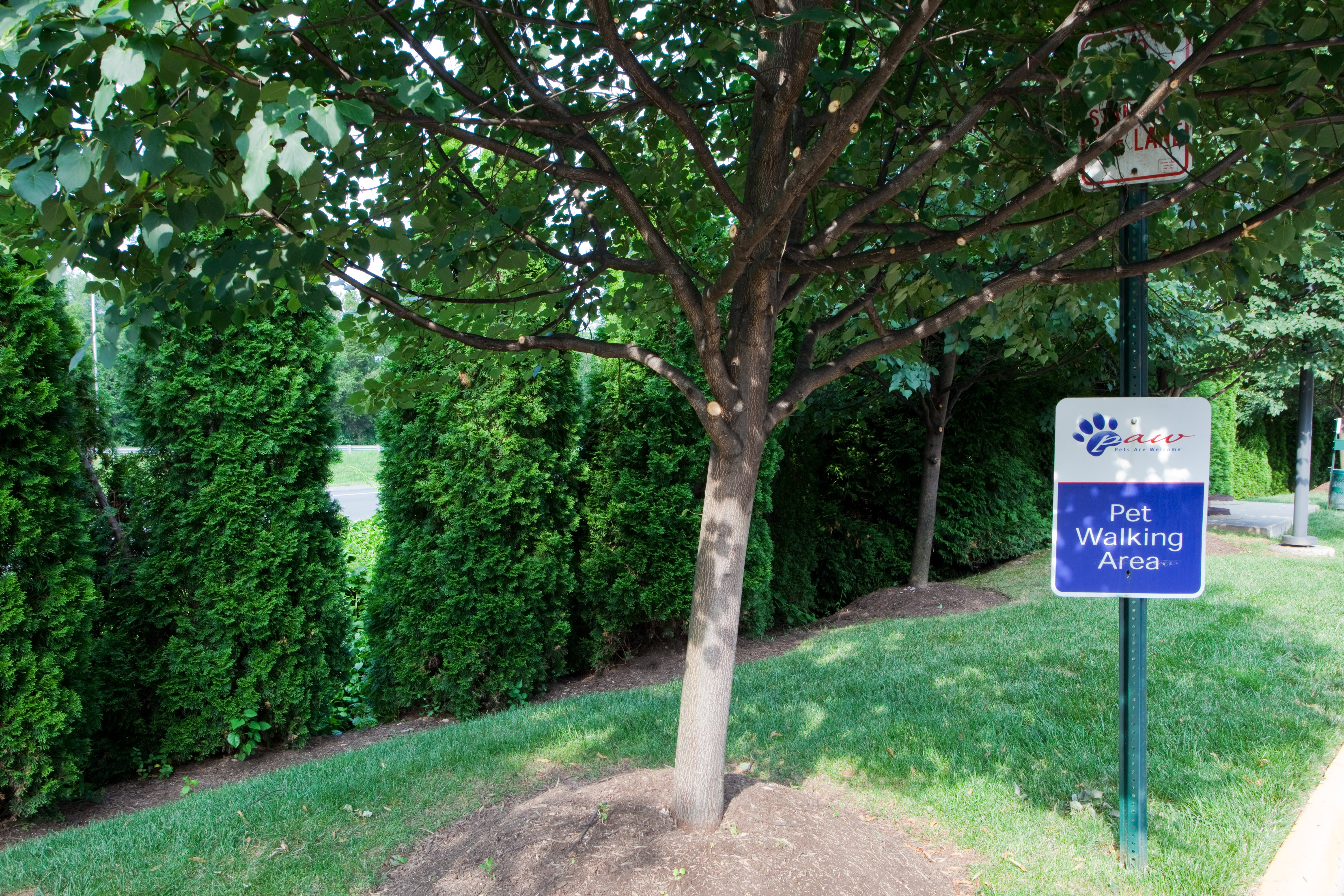 CANDLEWOOD SUITES FAIRFAX BY IHG-guestroom-Pet Walking Area.jpg