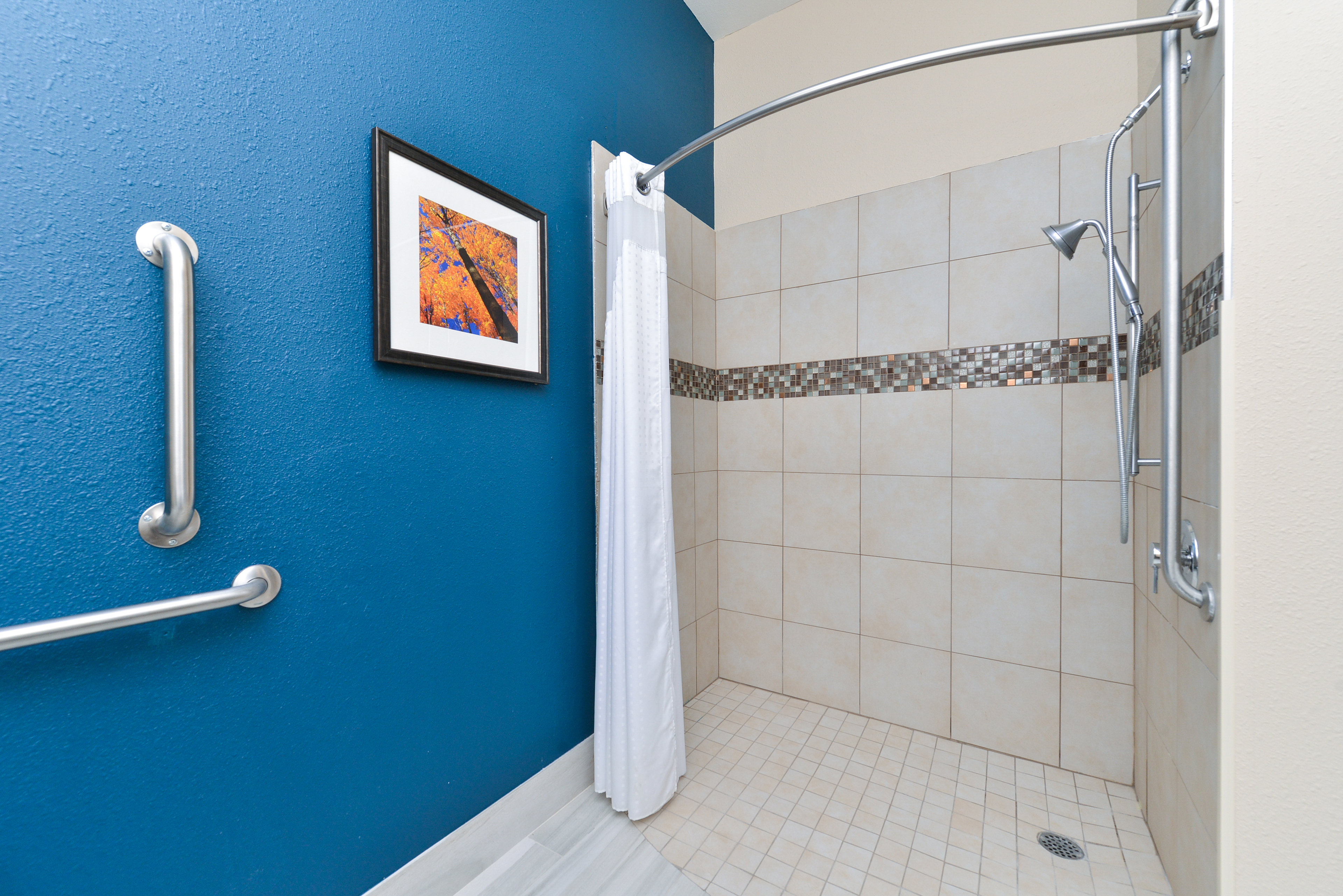 Our ADA walk in shower guest bathroom meets your needs when away.