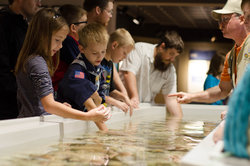  - Candlewood Suites Lake Jackson