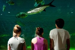  - Candlewood Suites Lake Jackson