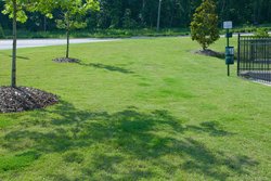  - Candlewood Suites Alabaster