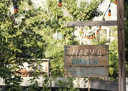  - Freehand Hostel Miami Beach