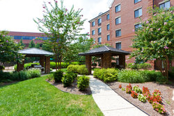  - Staybridge Suites McLean