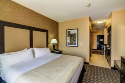  - Holiday Inn Northeast Arlington - I-30, Exit 28