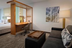  - SpringHill Suites by Marriott Alexandria - I-95 & I-495, Exit 177