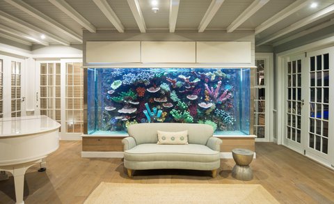 Lounge Aquarium