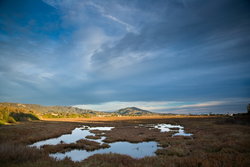  - Holiday Inn Express & Suites Carpinteria