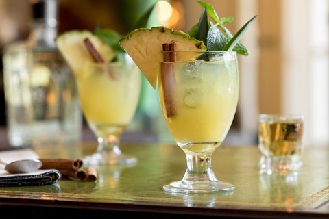 THE ST ANTHONY SAN ANTONIO - Photo 40