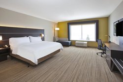  - Holiday Inn Express & Suites Auburn Hills - I-75, Exit 78