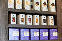  - AC Hotel by Marriott Airport West Doral