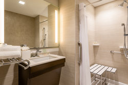  - Holiday Inn Nevins Station Brooklyn