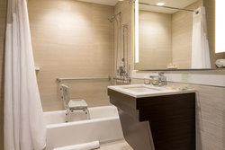  - Holiday Inn Nevins Station Brooklyn