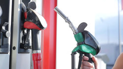  - Holiday Inn Express Temple Terrace - I-75, Exit 266