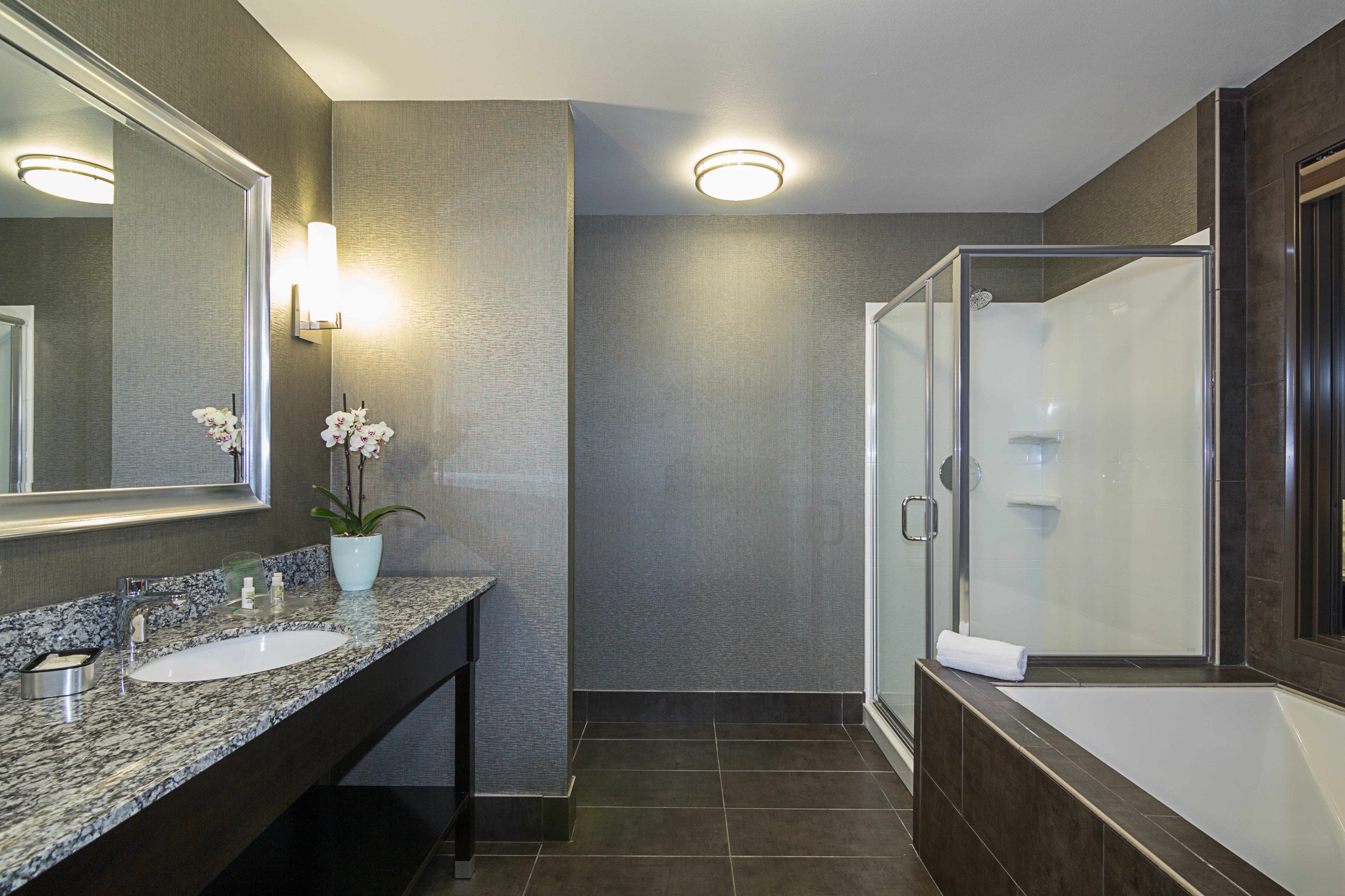 HOLIDAY INN STES SILICON VALLEY MIL-guestroom-Suite bathroom.jpg