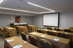  - Holiday Inn Las Colinas