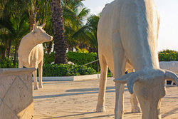  - Kimpton Surfcomber Hotel Miami Beach