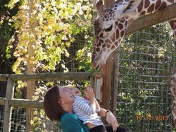  - Candlewood Suites Outlet Center Mercer