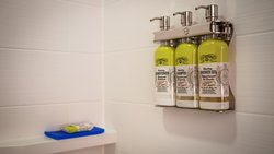  - Holiday Inn Express & Suites Northville - I-96 & I-275, Exit 167