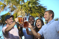  - Holiday Inn Express & Suites Oldsmar