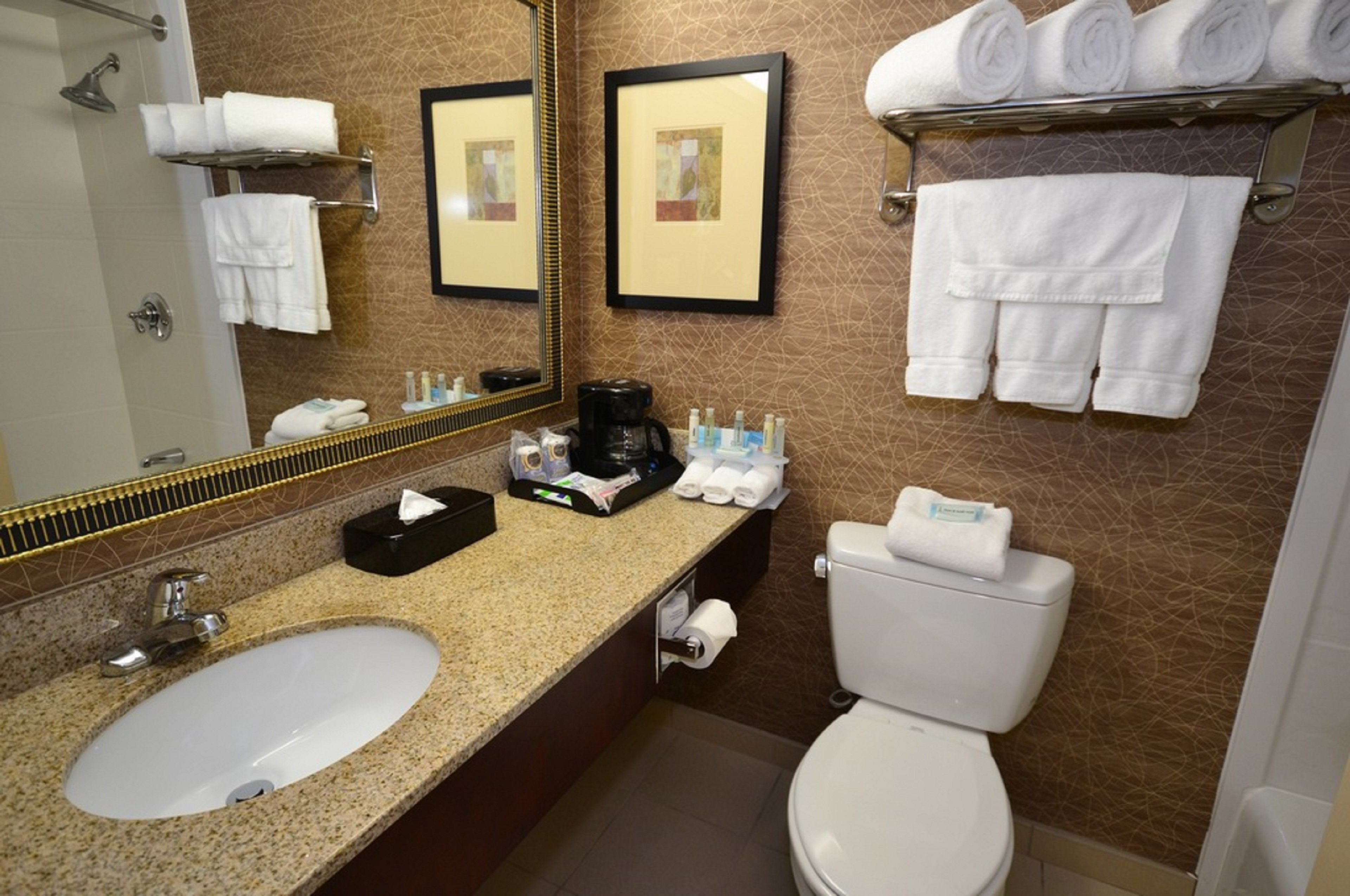 HOLIDAY INN EXP BROCKTON BY IHG-guestroom-Guest Bathroom.jpg