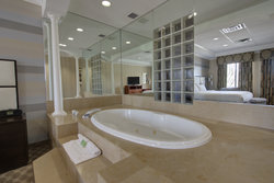  - Holiday Inn Plainview