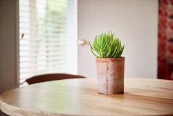  - Austin Motel South Congress