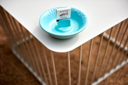  - Austin Motel South Congress