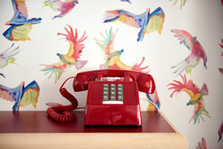  - Austin Motel South Congress